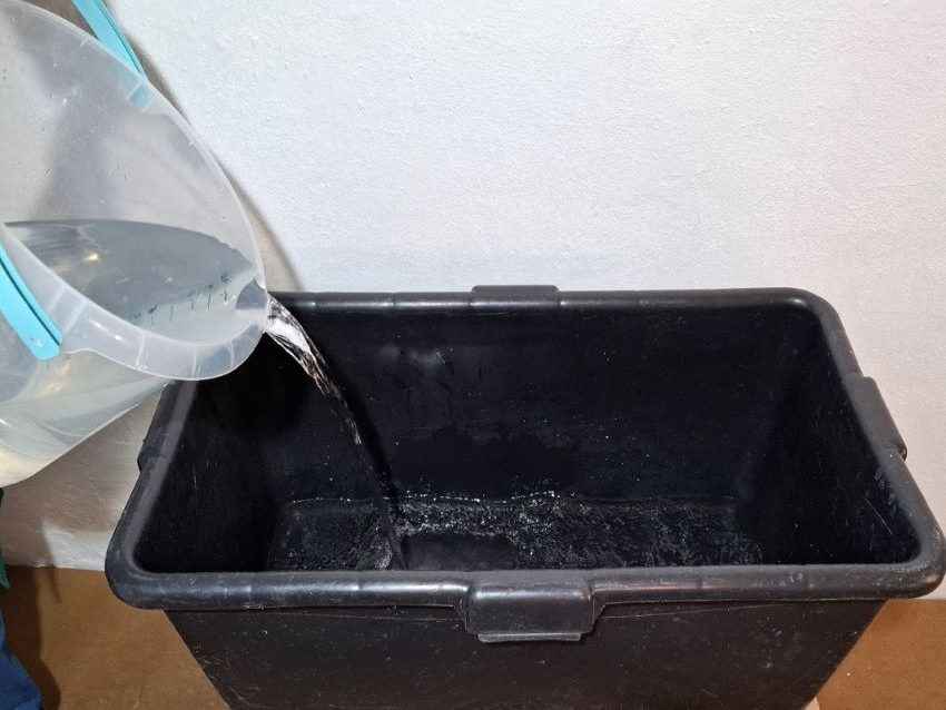 Wasser wird aus einem Behälter in eine schwarze Kunststoffbox gegossen.