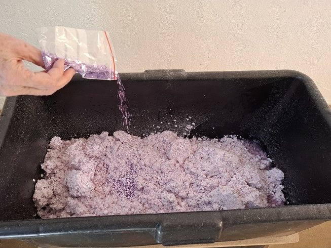Einmischen von lila Pulver, das in einen großen Behälter gegossen wird.