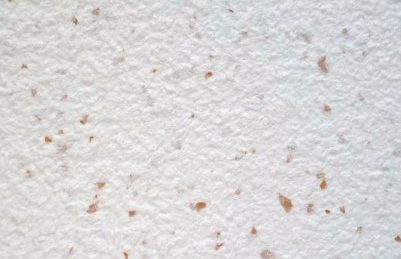 Einfärbiges Baumwollputz Dekor 
